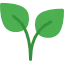 botanical intelligence